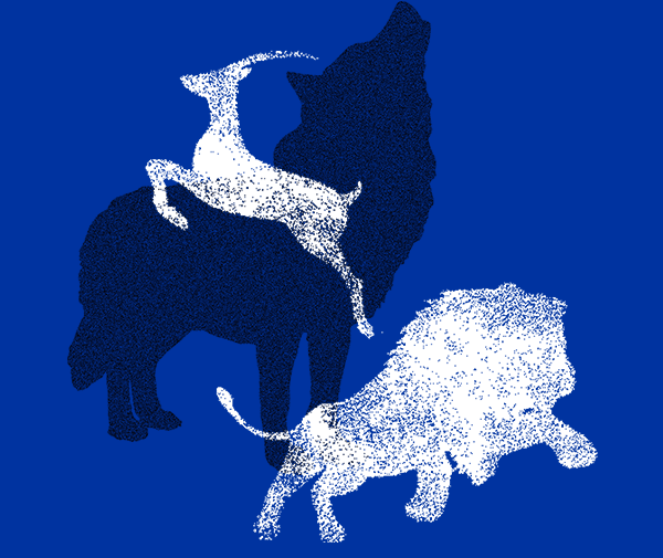 獅子、羚羊和狼